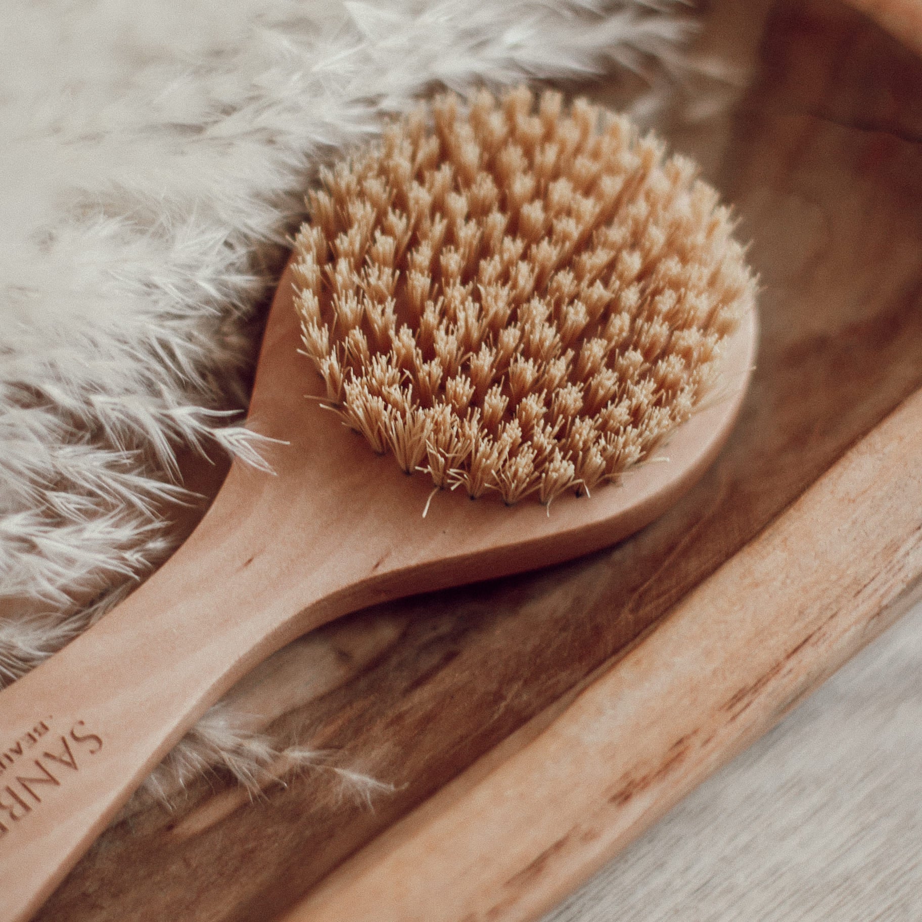 https://www.sanbebeauty.com/cdn/shop/products/sisal-dry-body-brush-handle-vegan-831821.jpg?v=1685797990